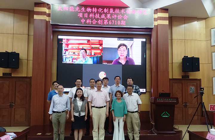 太阳能微藻产氢创新研究 anli.jpg